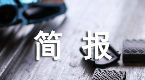 中共四川省注册税务师行业委员会  简  报  ﹝2020﹞第17期